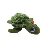 George the Green Turtle